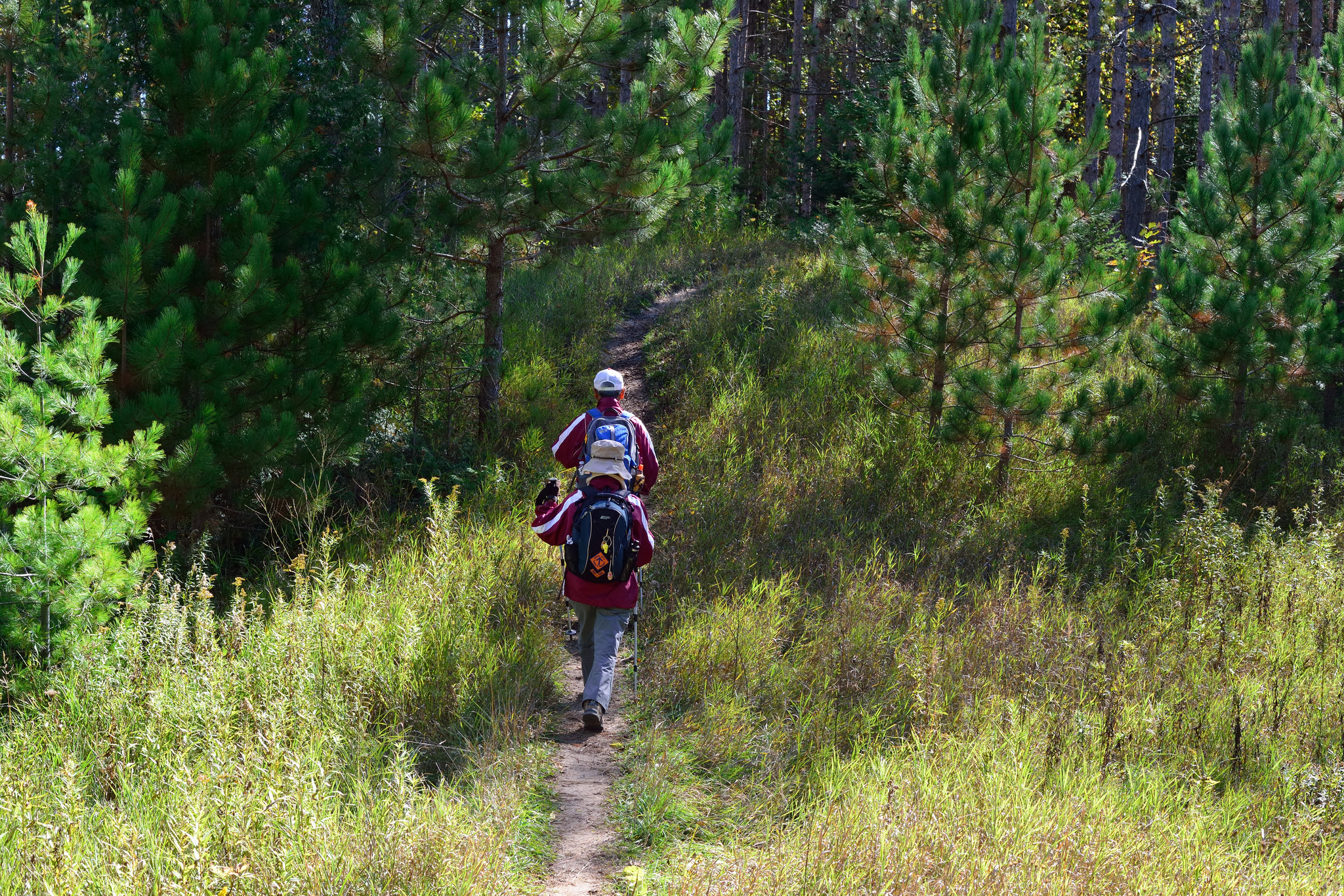 Hiking