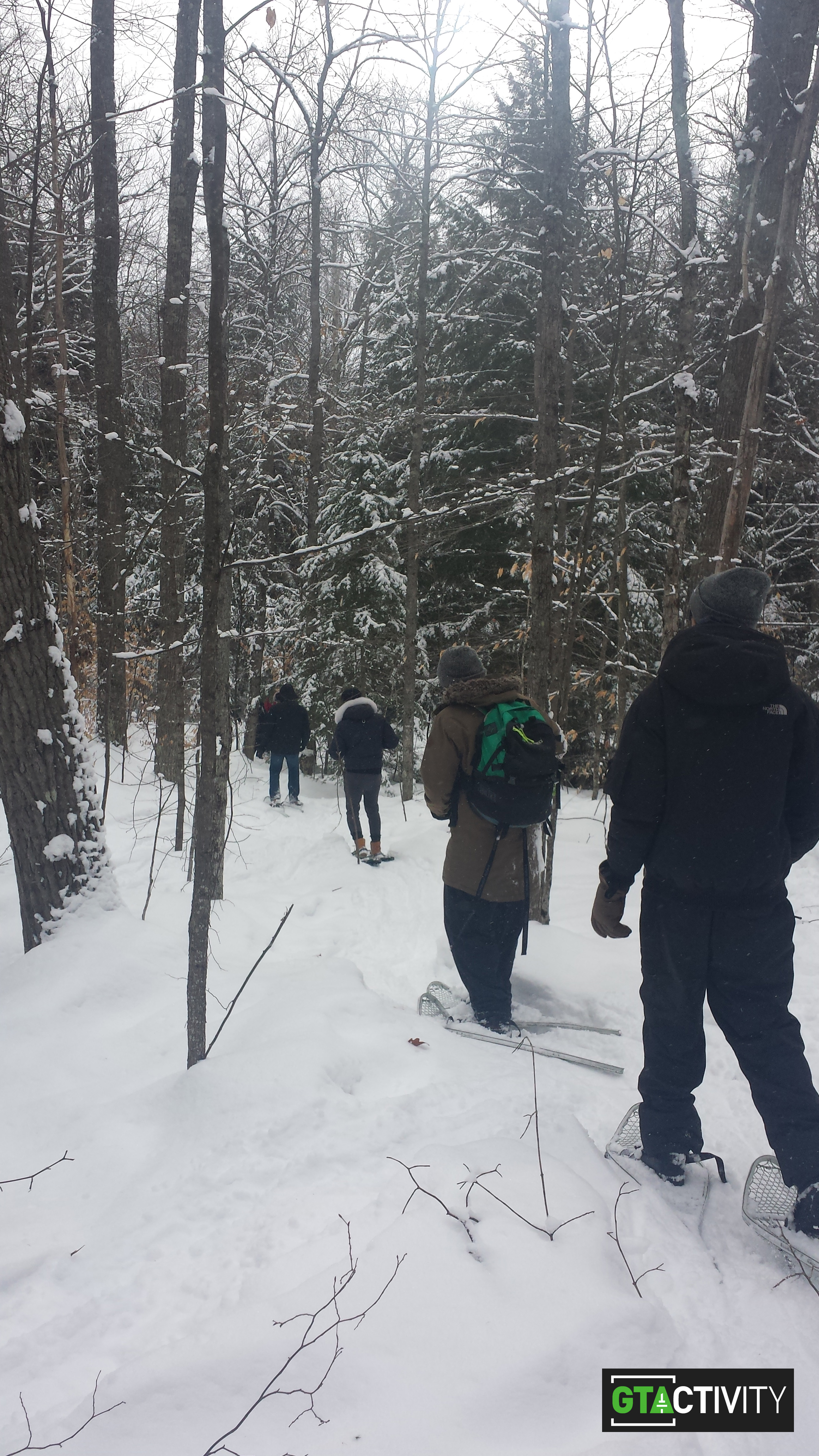 Snowshoeing